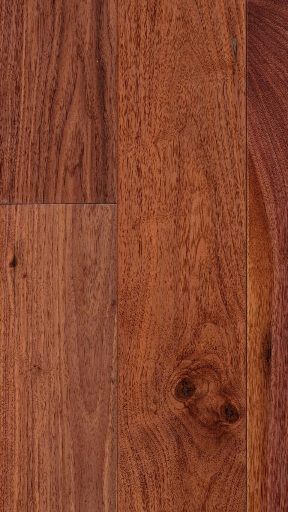 American Black Walnut 150mm