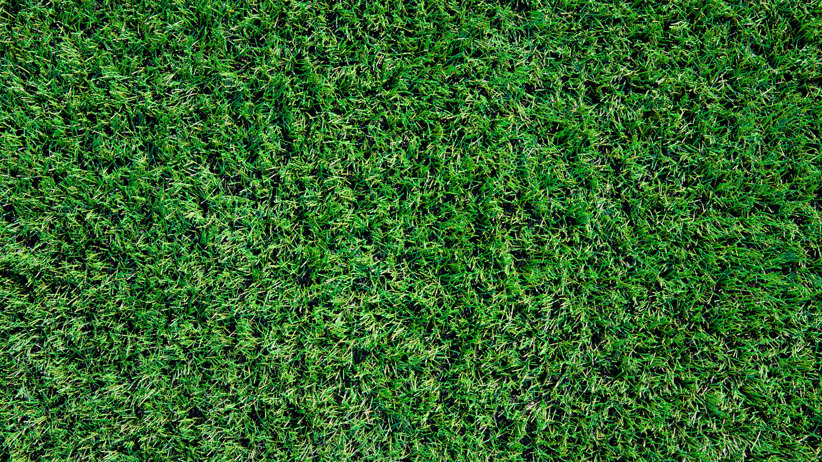 artificial grasses dublin ireland