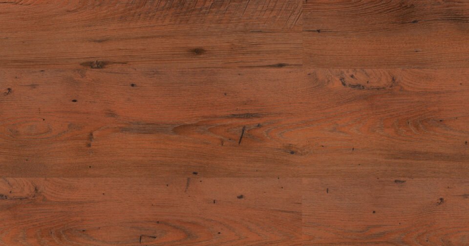 Bearfoot | Blues Chestnut