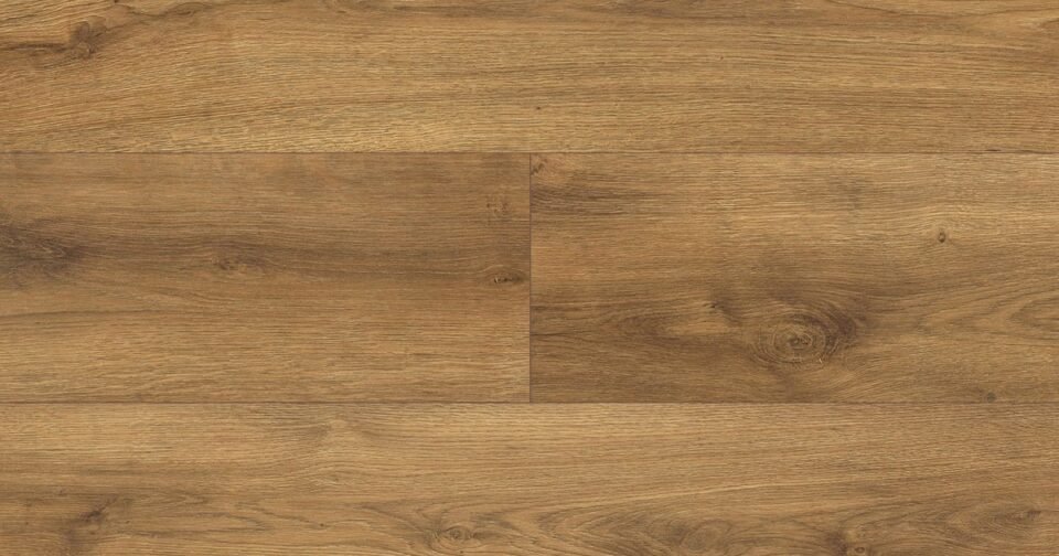 Bearfoot | Westminster Oak