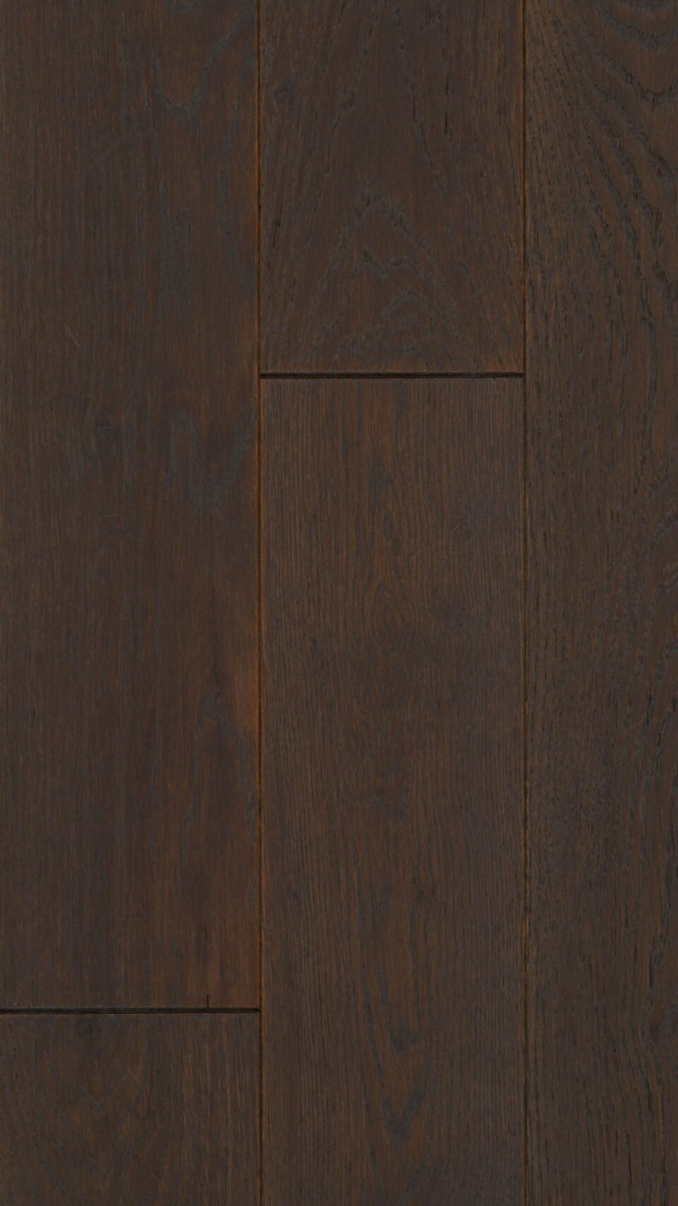 Bronze Oak