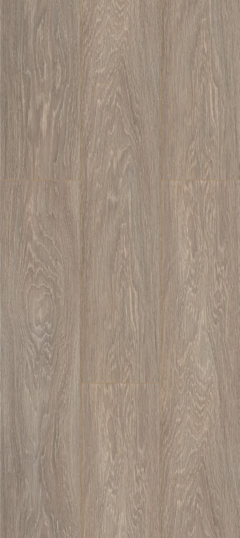 Dapple Grey Oak