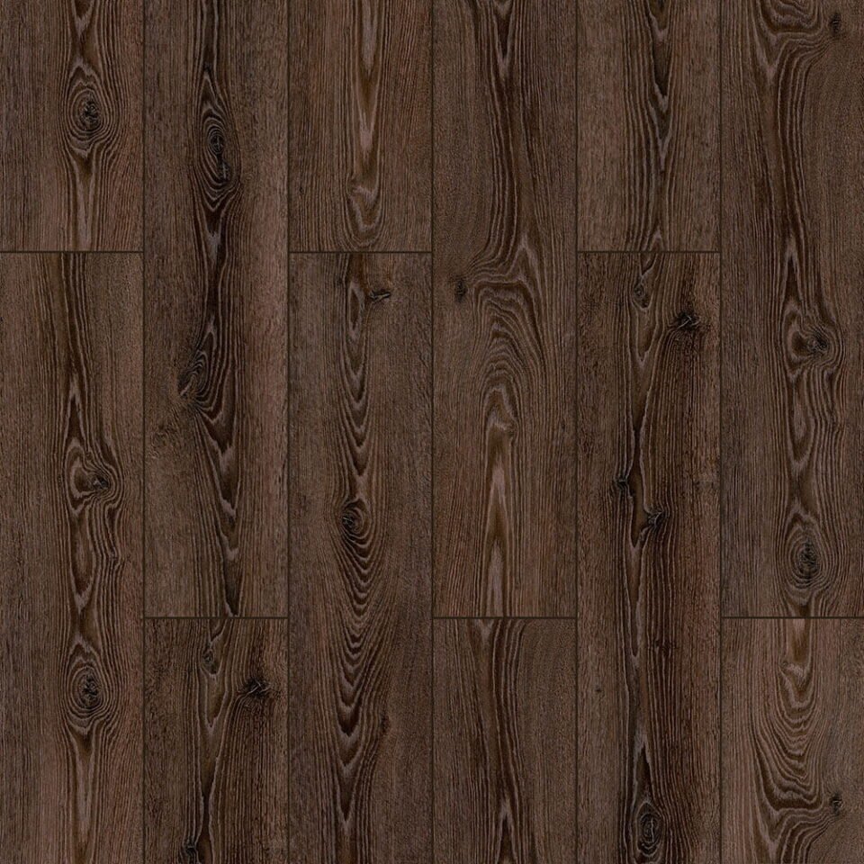 Harbour Oak