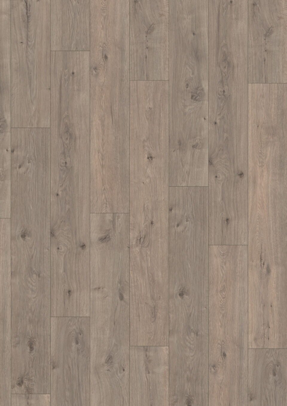 Murom Oak Grey