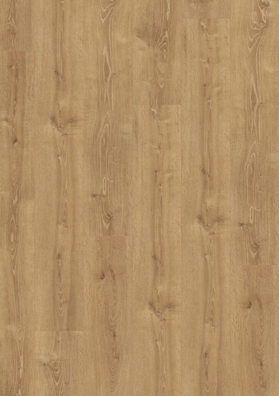 Natural Bayford Oak Long