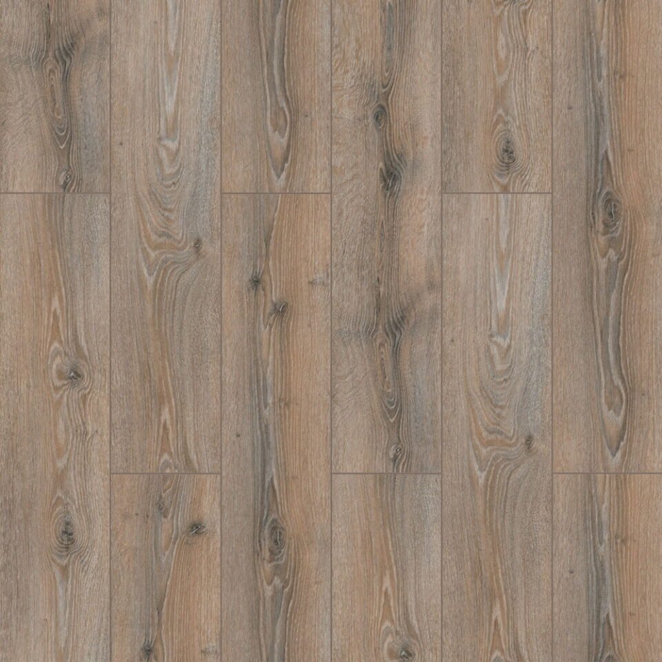 Normandy Oak
