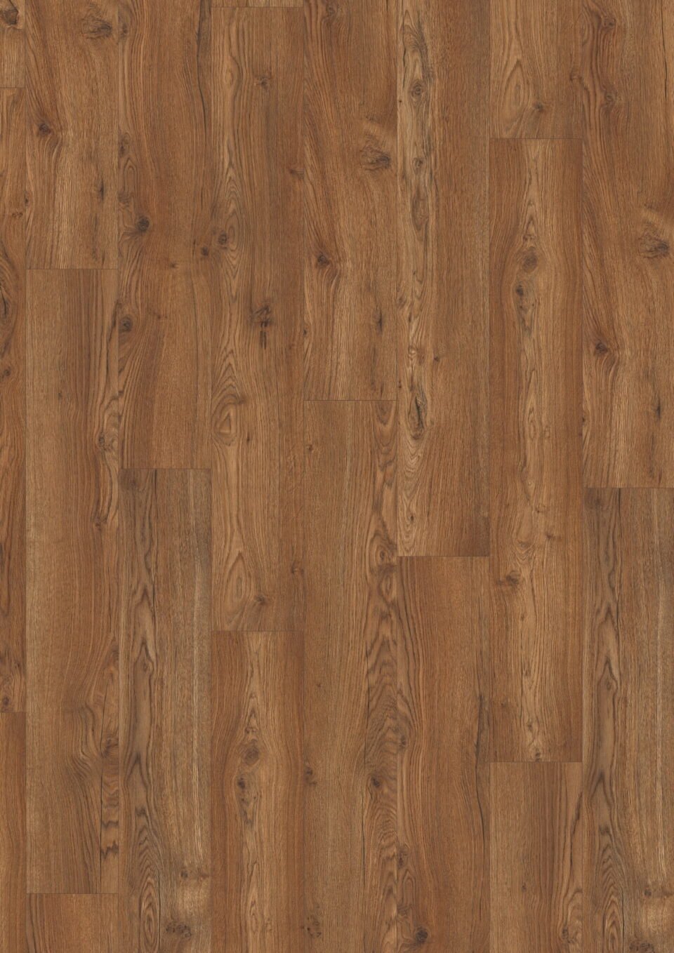 Olchon Oak Dark