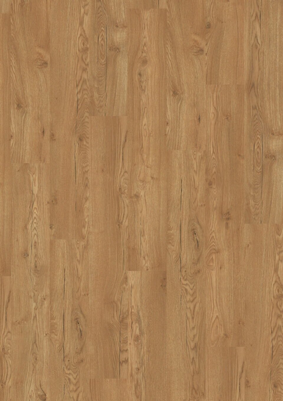 Olchon Oak Honey Large Aqua