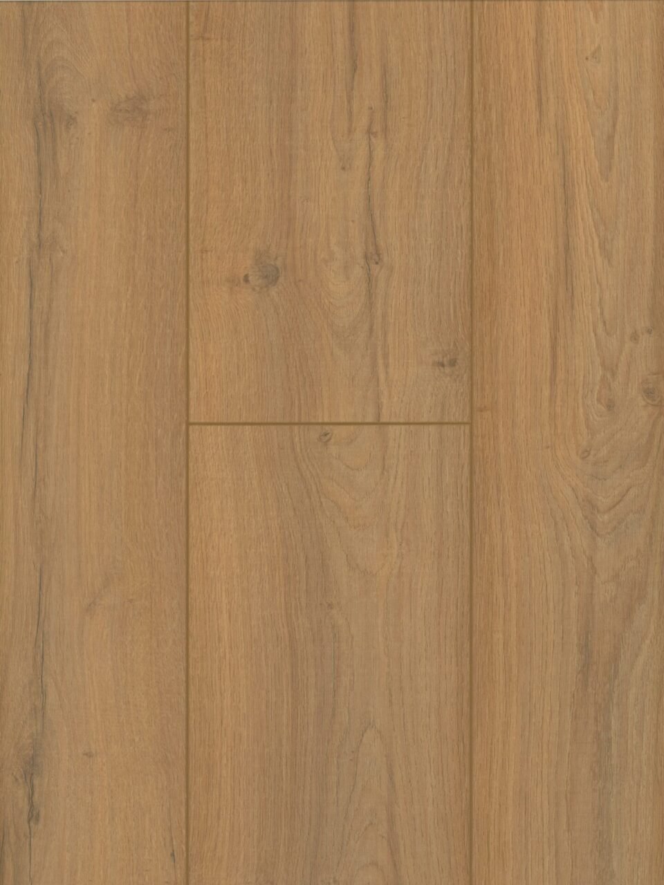 Poznan Oak