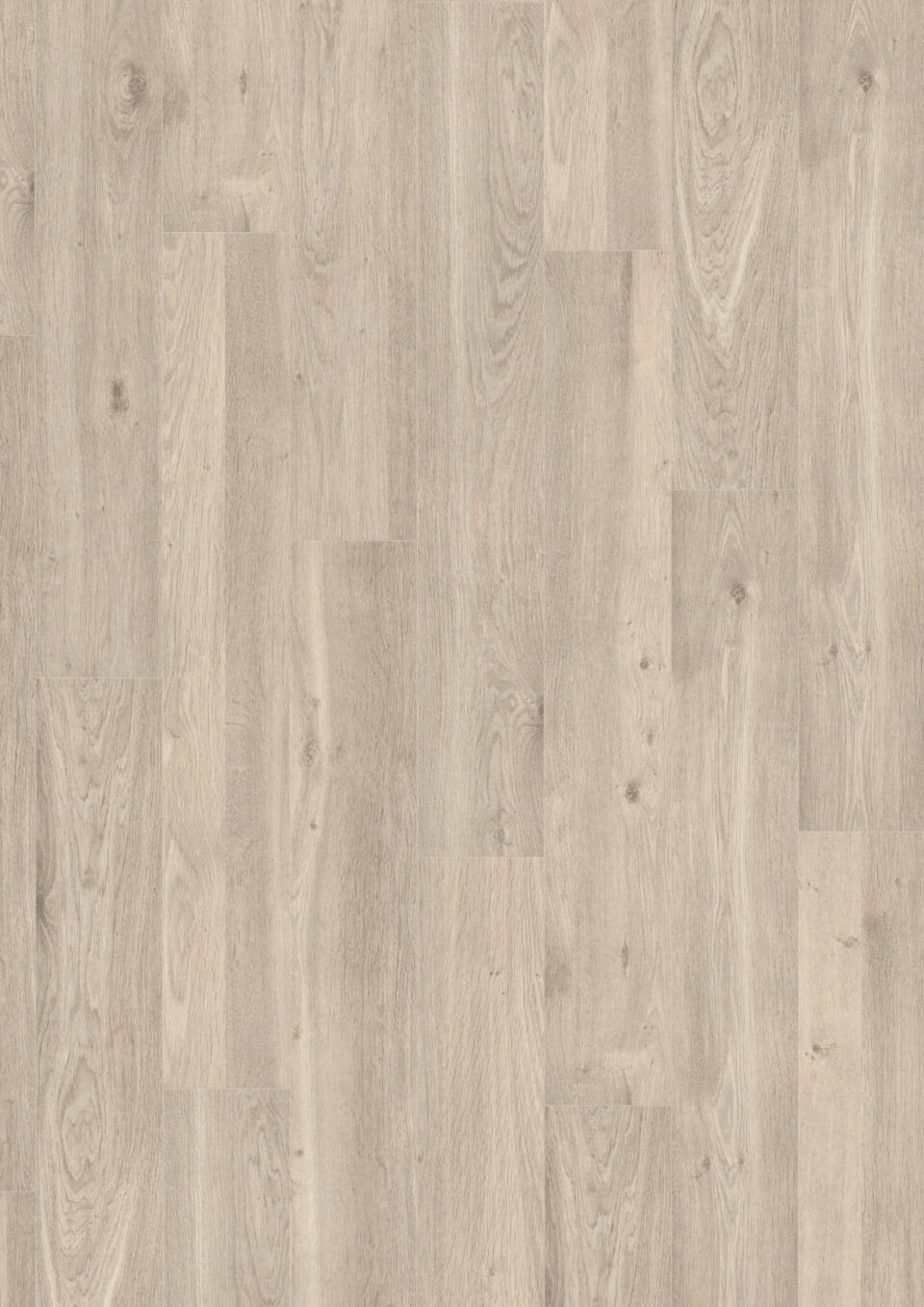 White Corton Oak